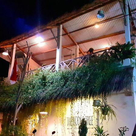 A Pousada The Bodhi Tree Ilhas Karimunjava Exterior foto
